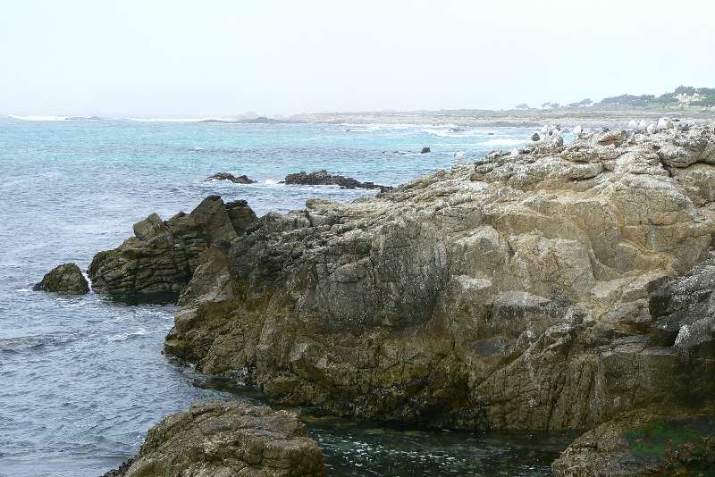 60 Costa sul Pacifico